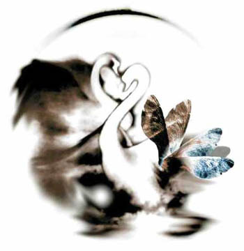 Greyswan tray inlay